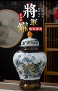 景德鎮(zhèn)陶瓷酒壇酒缸中式御藏山水將軍罐10斤裝家